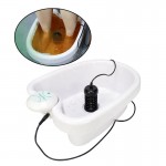 Factory Ion Detox Foot Spa Dual Ionic Detox machine Ionized Relax Foot Spa Bath